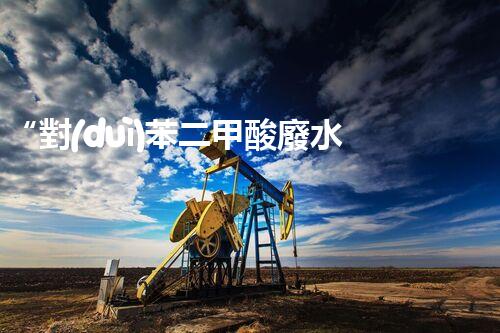 “對(duì)苯二甲酸廢水處理，綠色創(chuàng)新引領(lǐng)環(huán)保新篇章”